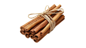 Cinnamon sticks tied with twine on white surface png