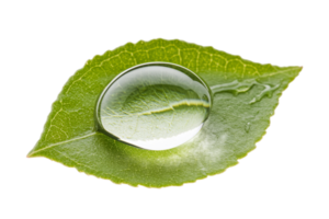 Raindrop resting on a green leaf in nature png