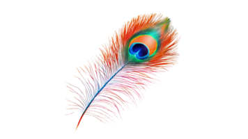 Colorful peacock feather with vibrant patterns png