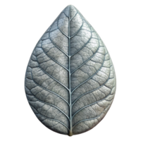 impressive rustic Leaf Vein Structure Cutout with High Resolution high quality png