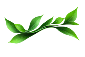 Green leaves arranged in a flowing pattern png