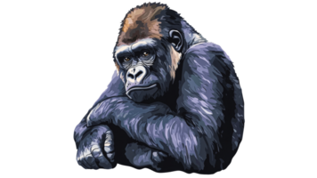 Gorilla relaxing in a thoughtful pose at the zoo png