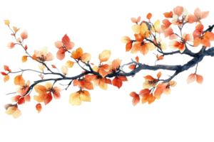 Autumn branches adorned with colorful leaves png
