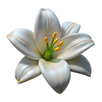 beautiful rustic Lily Flower White Bloom Transparent Background professional png