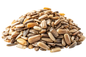 Sunflower seeds piled neatly on a white surface png