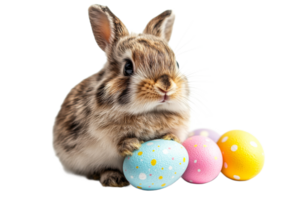 Cute rabbit with colorful eggs for spring celebration png