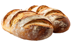 Freshly baked bread loaves on a transparent background png