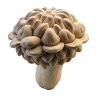 magnificent traditional Maitake Mushroom Isolated with Layered Texture authentic png