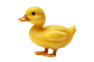 Cute yellow duckling toy with a transparent background png