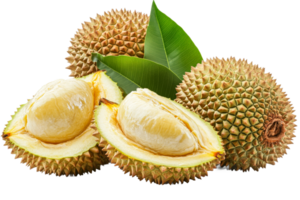 Fresh durians ready for tasting and enjoyment png