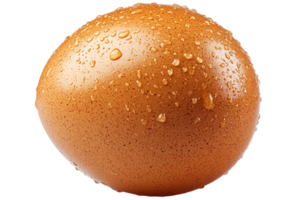 schließen oben von ein nass braun Ei mit Tröpfchen auf Oberfläche png