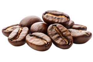 Freshly roasted coffee beans on a transparent background, cut out transparent png