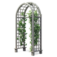 serene artistic Metal Trellis with Climbing Plants Cutout Isolated Element professional png
