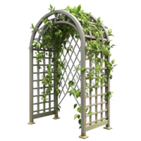 extraordinary minimalist Metal Trellis with Climbing Plants Cutout Isolated Element exclusive png