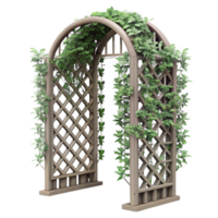 beautiful creative Metal Trellis with Climbing Plants Cutout Isolated Element authentic png