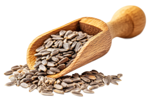 Sunflower seeds in a wooden scoop on transparent background png