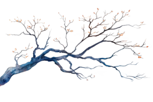 Artistic representation of a tree branch with no leaves png
