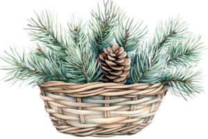 Decorative basket with pine branches and pinecone png