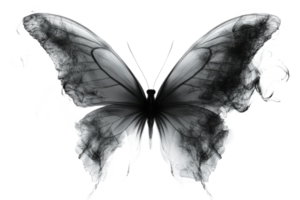 Elegant black butterfly with transparent wings png