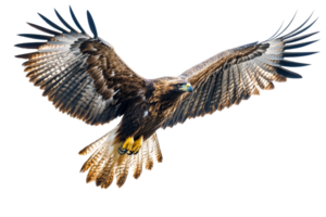 Majestic eagle soaring through the sky with wings spread png