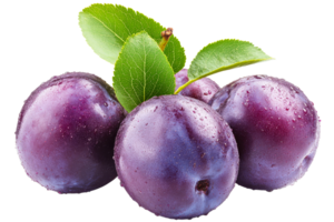 Fresh plums with leaves on a transparent background png