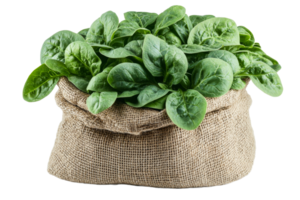 Fresh spinach in a burlap bag on a transparent background png