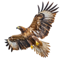 Majestic eagle in flight with wings spread wide, cut out transparent png