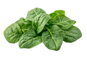 Fresh spinach leaves arranged on a transparent surface png