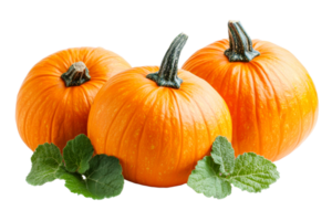 Fresh pumpkins arranged with green leaves on display png