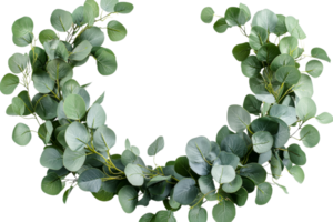 Beautiful green foliage wreath with transparent background png