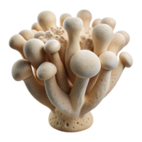 stunning creative Mycelium Biodegradable Material White Background Isolated detailed png