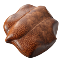 elegant abstract Mycelium Leather Material Textured Surface Isolated authentic png