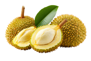 Durian fruits with green leaves on clear background png
