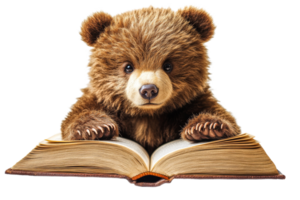 Cute bear reading a book with a transparent background png