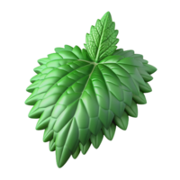 dramatic classic Nettle Leaves Isolated with Deep Green Color high resolution png