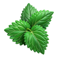 stunning minimalist Nettle Leaves Isolated with Deep Green Color detailed png