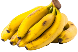 Fresh bunch of ripe bananas on a transparent background png