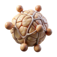 extraordinary modern Neural Plasticity Diagram Isolated with Soft Shadows high resolution png