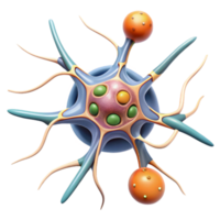 extraordinary modern Neuron Cell Diagram Transparent Background with Detailed Structure and Labels detailed png