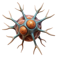 serene modern Neuron Cell Structure Detailed Illustration Transparent Background high resolution png