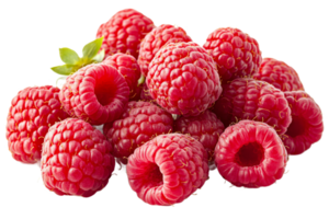 Fresh raspberries on a transparent background png