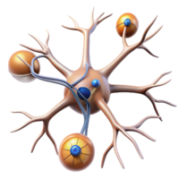 vibrant rustic Neuron Structure Diagram Transparent Background with Microscopic Detail and Labels exclusive png