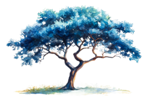 Watercolor tree painting on a clear background png