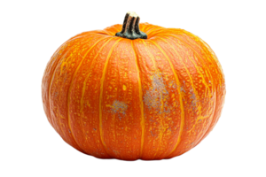 Bright orange pumpkin with textured surface and stem png