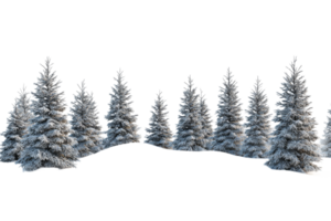 Snow covered trees create a serene winter landscape png