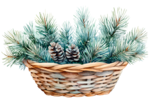 Pinecones and pine branches in a woven basket png