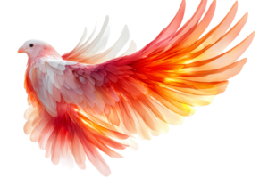 Bird with fire wings, colorful plumage of bird, cut out transparent png