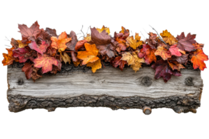 Fall maple leaves on wooden plank, rustic autumn decoration, cut out transparent png
