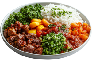 Bowl with rice, meat, vegetables, and sauce dish, cut out transparent png