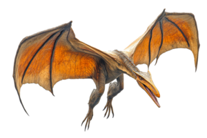 A full body Pterodactyl with wings spread, flying, close up, cut out transparent png